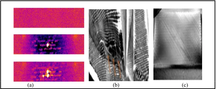 Figure 1.42. Non-destructive testing of composite by using IR thermographic methods   (a) Pulse themography  (b &amp; c) Inductive thermography 