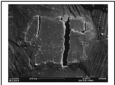 Figure 1.11 gives some micro graph depicting the phenomenon of damage on micro scale. 
