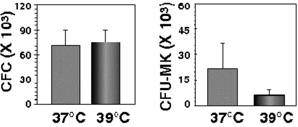 Figure 7 : Effet de l’hyperthermie légère à court terme sur les cellules progénitrices 