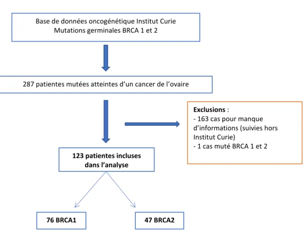 Figure 2 : Patientes incluses à partir des données d’oncogénétique de l’institut Curie 