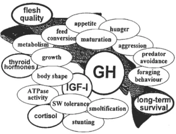 Fig. 1-1: Effets de la OH chez les poissons, incluant l'action intermédiaire des lOF (Bjômsson 1997)