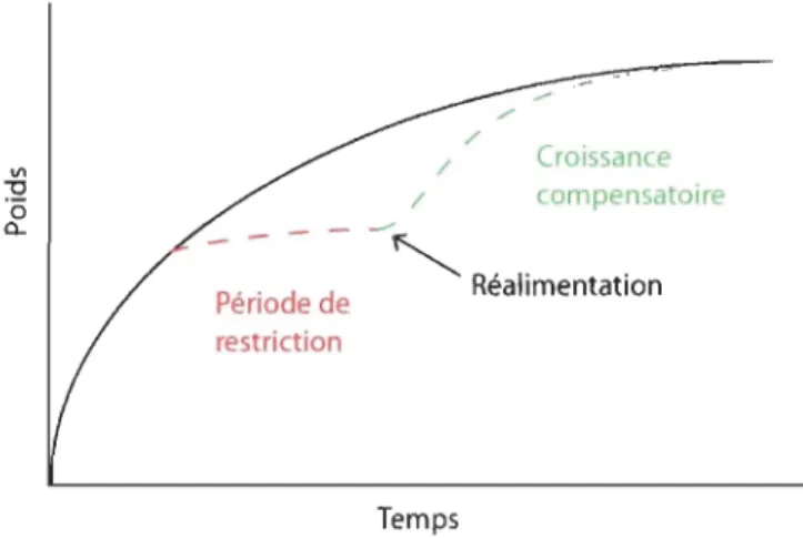 Fig. 1-4  : Représentation du phénomène de CC (Le François, communication personnelle)