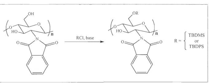 Figure 2 Synthesis of  silylated N-phthaloylchitosan 