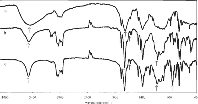 Figure 3 IR spectra of  N-phthaloylchitosan and  its  silylated derivativ es 