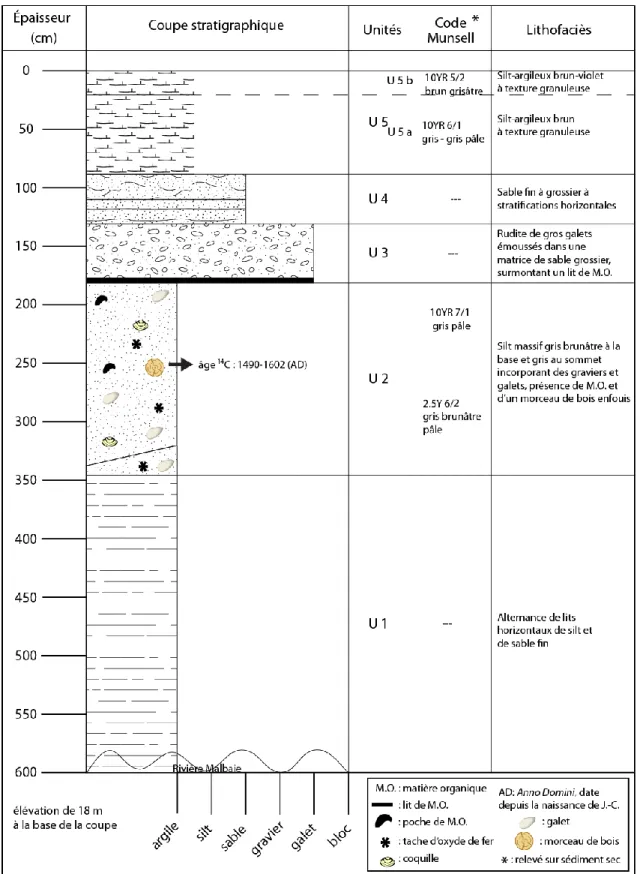 Figure  16 : Chronostratigraphie  de la  coupe Martel  2, La Malbaie,  Charlevoix-Est 