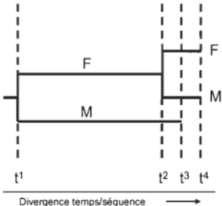 Figure 0.6 Phénomène de masculinisation chez les Mytilidae. Au temp t l ,  les ADNmt  F  et  M  hautement  divergents  sont  retrouvés  dans  la  population