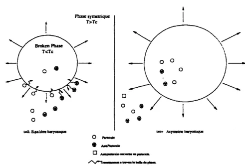 Figure 2-1. Représentation schématique de la baryogénèse électrofaible