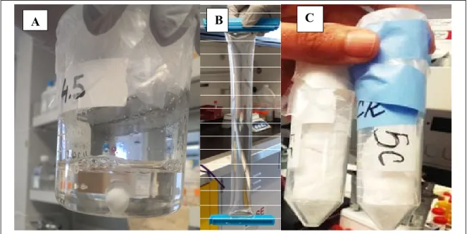 Figure 2.7 shows the solution before and after dialysis and the final product of the new  protocol