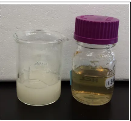 Figure 2.8  solution of purified CH before sterilization   (left) and after sterilization (right) 
