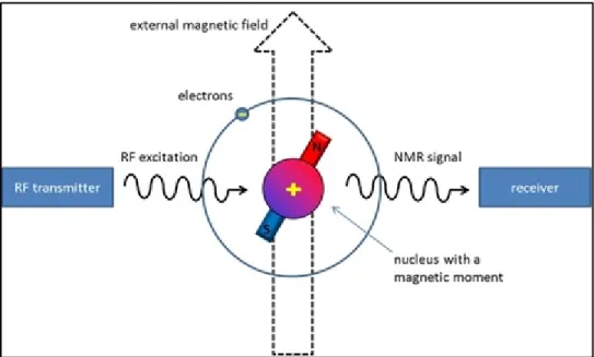 Figure 2.10  The nuclear magnetic resonance (NMR) phenomenon  Taken from utu.fi  