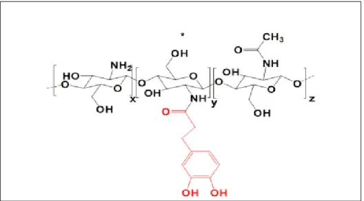 Figure 2.11  CH-Cat structure 