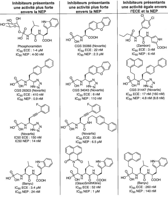 Figure 15 : Comparaison de la sélectivité entre l’ECE et la NEP48.