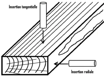 Figure 2.10 Angle d’insertion des goujons par rapport aux cernes annuels du bois. 