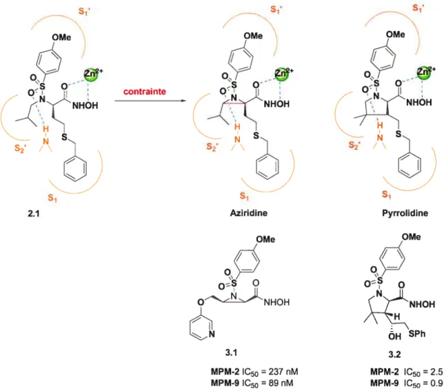 Figure 3.] Conception d’inhibiteur contraint à partir d’un “Ïead” acyctique