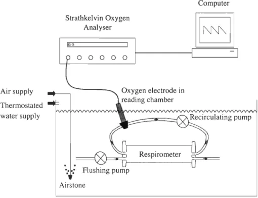 Figure 2.1  Experimental  setup  for  measurement  of  oxygen  consumption  m  Panda/u s  borealis