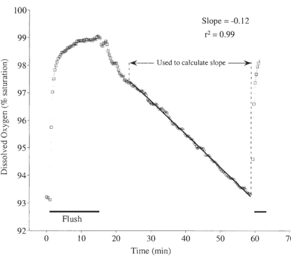 Figure 2 .2  Example  of the  time course  of oxygen  depletion  by  Pandalus  borealis  in  a  respirometer