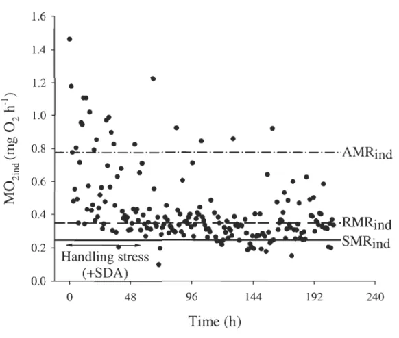 Figure 2 .3  Example of oxygen  consumption  (M0 2)  over time  for  an  individual  female  shrimp  (9.4  g  W w,  24.9  mm  CL)  at  5°C, fed  in  excess  before  the  experiment