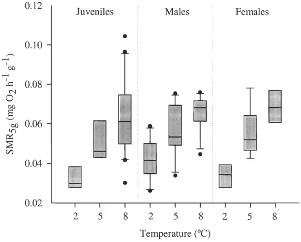 Figure 2.5  Box-plots  of  standardized  mass-specific  metabolic  rates  (SMRsg )  for  juvenile, male  and  female  shrimp  at  2,  5,  and  8°C