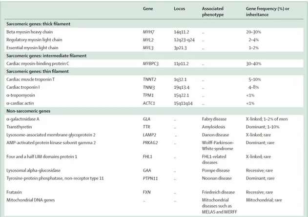 Figure 4 : Etiologies des cardiomyopathies hypertrophiques. D’après les Recommandations de  l’ESC 2014 sur la prise en charge de la CMH (1) 