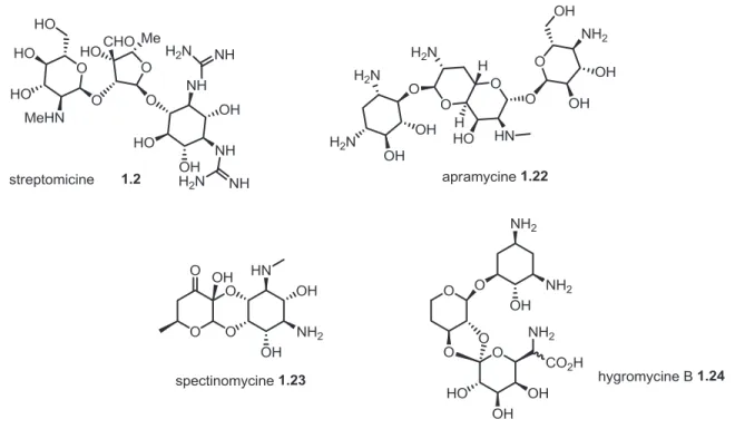 Figure 1.2 Aminoglycosides naturels atypiques 21