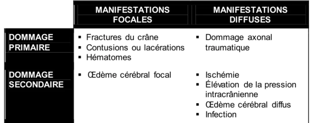 Tableau 1.1 – Classification des manifestations neuropathologiques du TCC  MANIFESTATIONS  FOCALES  MANIFESTATIONS DIFFUSES  DOMMAGE  PRIMAIRE    Fractures du crâne    Contusions ou lacérations    Hématomes    Dommage  axonal traumatique  DOMMAGE  SECO