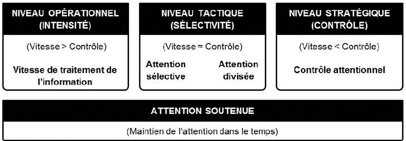 Figure 1.1 – Cadre conceptuel de l’attention utilisée dans la thèse 