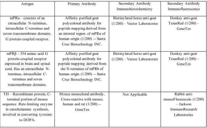 Table 1 -  List  of antibodies  and their  antigens  used to perform  immunohistochemistry  of  mPRα,  mPRβ  and TH analysis