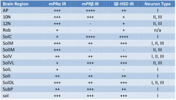 Table  2  –  Relative  Immunoreactivity  of  mPRα,  mPRβ  and  3β-HSD  in  relevant  respiratory  structures  of  the  caudal  brainstem  based  on  immunohistochemical  analysis  between  bregma  –  7.56  mm  and  –  7.76  mm