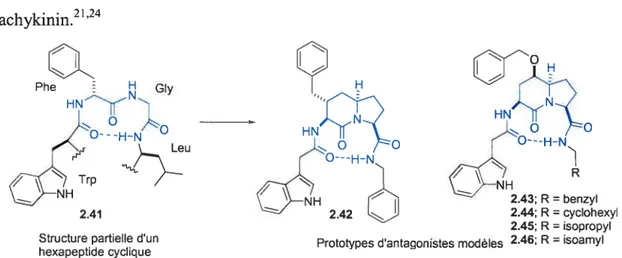 Figure 2.2 Conception et synthèse d’antagonistes du récepteur NK-2 de la tachykinin.21’24