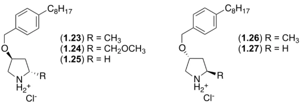 Figure 1.7. Structures des analogues 1.23-1.27. 