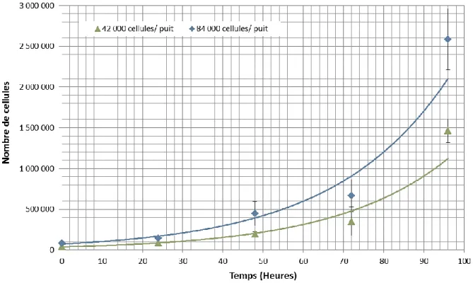 Figure 34 : Courbe de prolifération exponentielle des cellules HT-1080 ensemencées à deux  concentrations