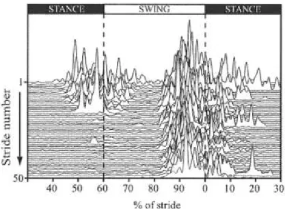 Fig. 3.7: Stride-by-stride aftereffects in MH EMG activity.  