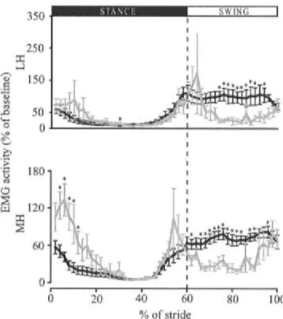 Fig.  3.8:  LH  and  MH  EMG  activity  comparisons  between  adapted  state  and  initial  aftereffect