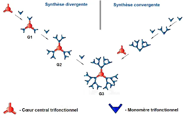 Figure 8. Représentation schématique de deux principales voies d’assemblage des  dendrimères, divergente et convergente