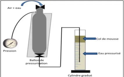 Figure 2.5 Schéma du montage d’essais de flottation à air dissous 