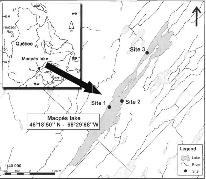 Figure 2.  Location of the Macpès Lake in  Eastern Quebec  (see inset) and the three study  sites 