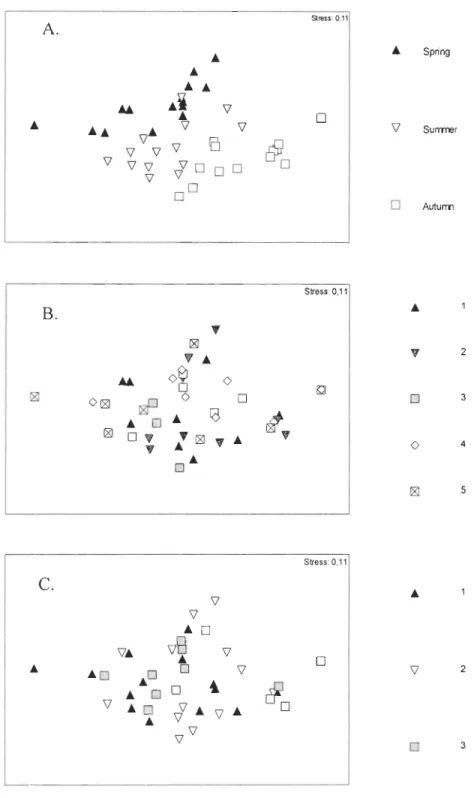 Figure  4.  Two-dimensional  MDS  ordinations  of macroinvertebrate  community  structure  among: (A) seasons ; (B) depths (m) and (C) sites