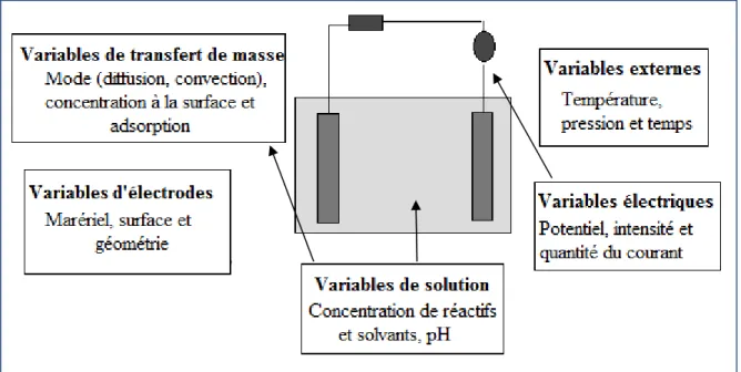 Figure 1.3 Facteurs qui influent la réaction électrochimique. 