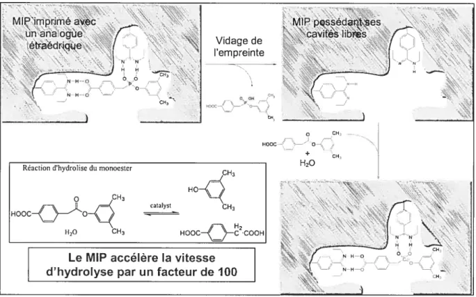 FIGURE 3. Exemple d’application catalytique développé par Wulf et ai.9