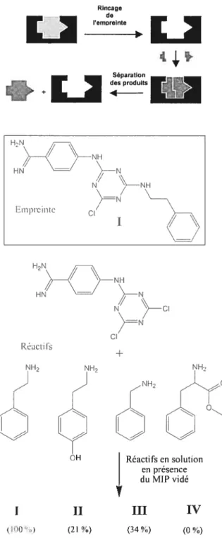 FIGURE 4. Exemple d’utilisation de MIP développé par le groupe de Mosbach en 2001.17