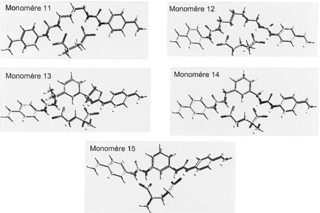 FIGURE 14. Confonnations d’énergie minimale pour les monomères 11-15 dans les complexes dicarboxylate (modélisation moléculaire effectuée avec HyperChem 7.5).