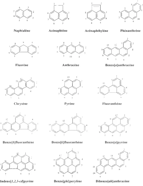 Figure 1 : structure des  16 HAPs classés par la US-EPA comme principaux polluants  à  risque