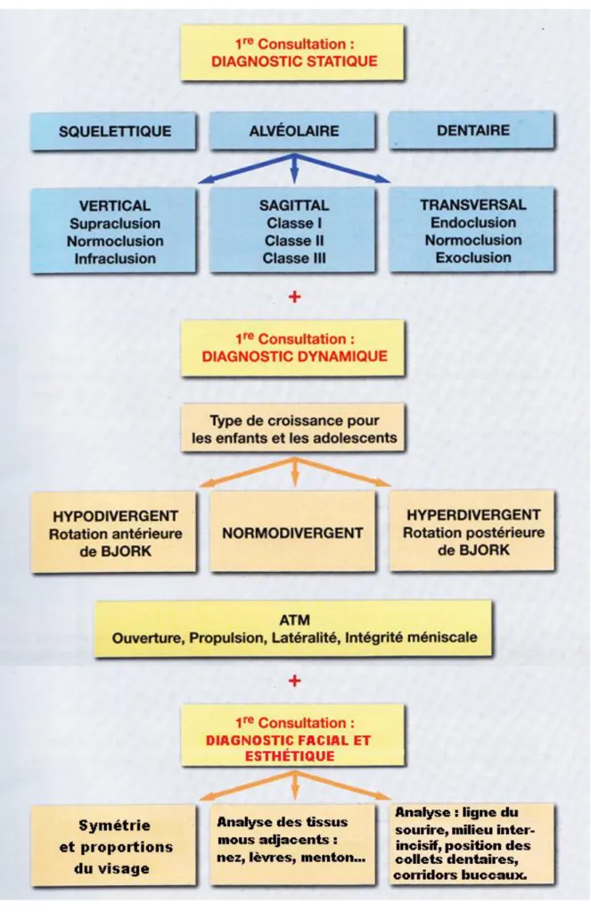 Figure 2 : Diagnostic orthodontique 