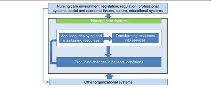 Figure 2 The nursing care performance framework.