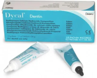 Figure 6: DYCAL ®, UNE DES FORMES COMMERCIALES DE L’HYDROXYDE DE CALCIUM, PAR DENTSPLY®