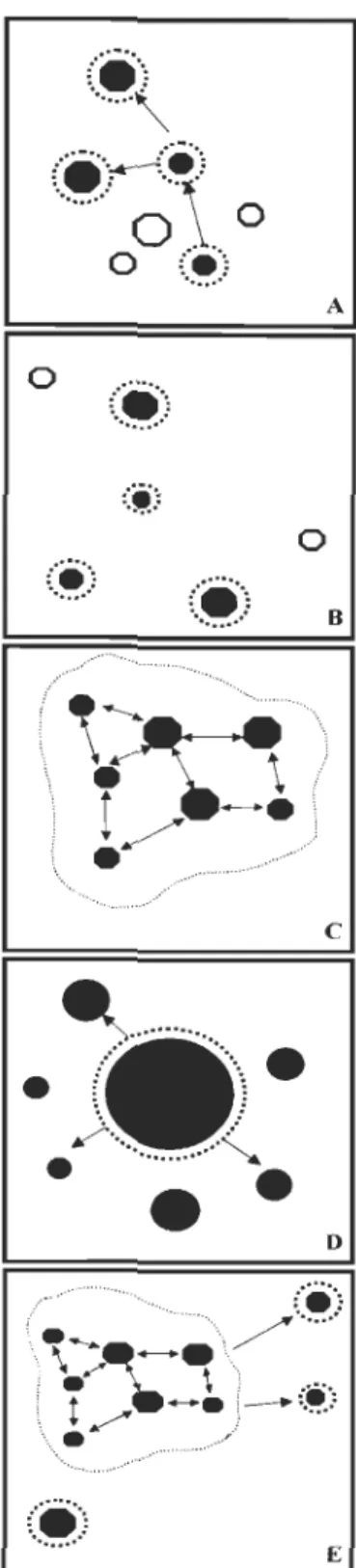 Figure  1  Différents  types  de  metapopulations  selon  Harrison  (1991)  : A  - metapopulation de  Levins; B - metapopulation centre-satellite; C - metapopulation fragmentée; D - metapopulation  non équilibrée; E - metapopulation mixte (modèle mixte ent