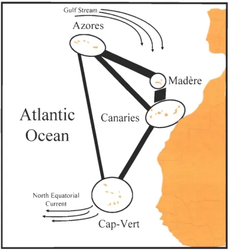 Figure  2  Représentation  graphique  de  l'intensité  de  flux  génétique  (lignes  épaisses)  entre  les  différents  archipels  de  la  Macaronésie,  basée  sur  la  fréquence  d'allèles  privés  (adapté  de  De  Wolf  et al