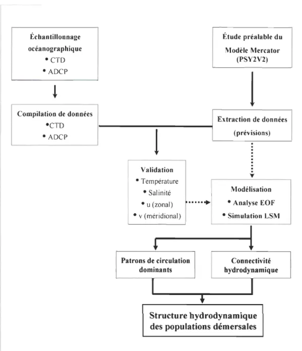 Figure  5-C  Diagramme  qui  résume  la  démarche  de  modélisation  pour  la  caractérisation  hydrodynami que de l'archipel du Cap-Vert