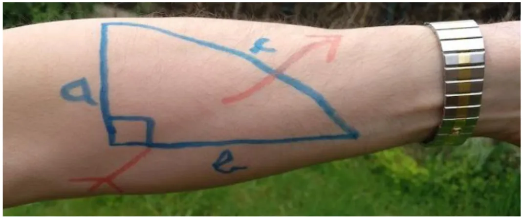 Figure 8 : Un tatouage non pythagoricien.