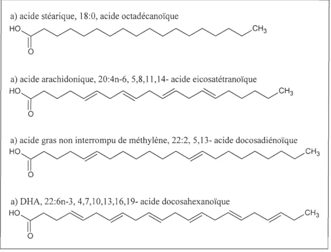 Figure 1.1.  Structure, nom commun, nomenclature abrégée et VIP AC des acides gras (Voet  and Voet, 2004) 